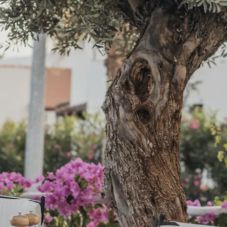 The Bay View Boutique Kalkan Kas